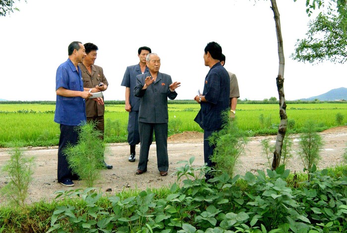 Thủ tướng Choe Yong Rim kiểm tra tình hình sản xuất nông nghiệp